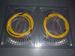 銳速直銷FC12芯束狀尾纖 寧波廠家價格與產品大圖全解析——聚焦慈溪市橫河銳速通信設備廠